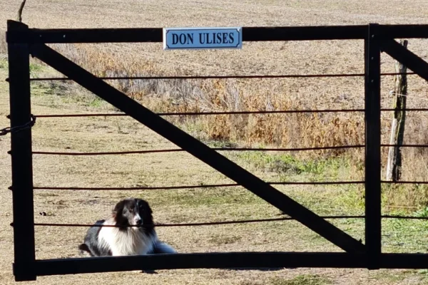 aCLIENTES 13 aCLIENTES 13