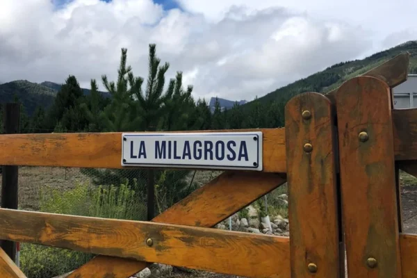 aCLIENTES 7 aCLIENTES 7