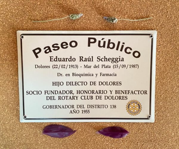 Conmemorativas — Placas Parmui Placa enlozada Parmui, conmemorativas