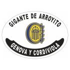Placa enlozada de Rosario Central, diseño M